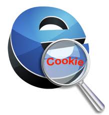 Что такое cookies?